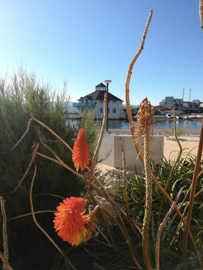 Appartement Cosy Sur La Presqu'Ile De Cap Coudalere Avec Piscine Ouverte Et Chauffee Le Barcarès Buitenkant foto